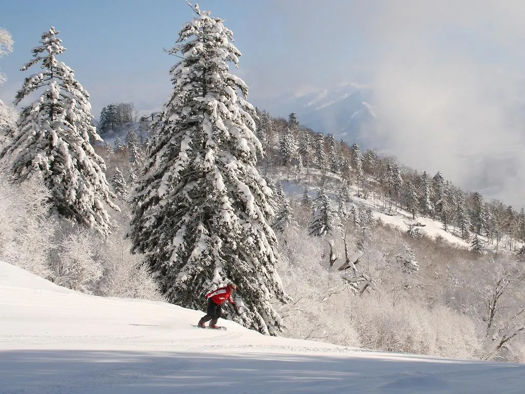 Furano Hotel Bell Hills 3*,  일본
